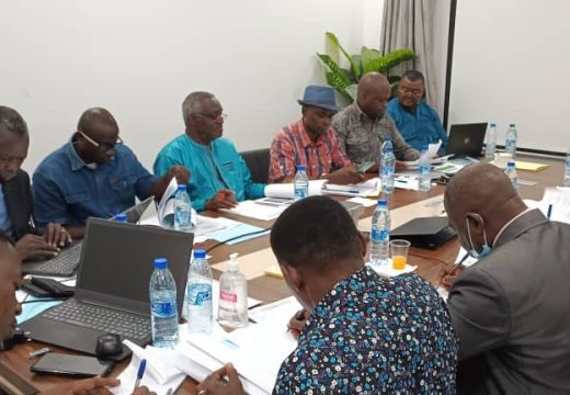 Tenue de la session du 2eme Comité d’évaluation technique et éthique du SNOIE CONGO